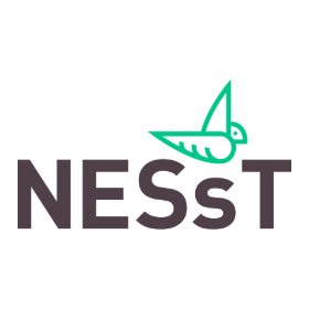 Logo: Nesst Polska
