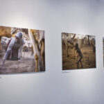 Zdjęcie z ekspozycji wystawy Krzysztofa Weremy Po obu stronach Białego Nilu